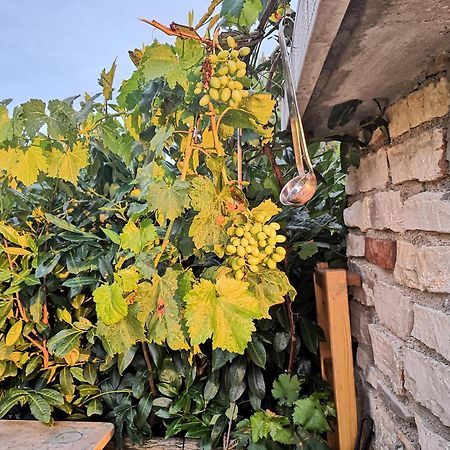 Casa Romantica Умаг Екстериор снимка